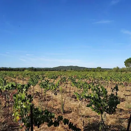 Du Petit Caillou En Drome Provencale , Jacuzzi Privatif En Supplement 아파트